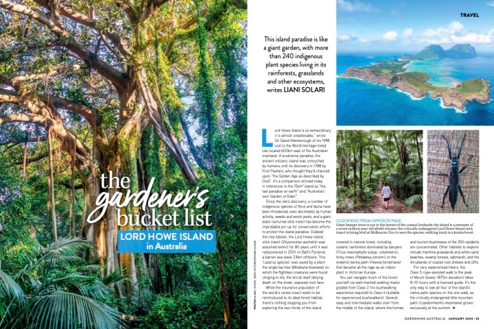 The Gardener’s Bucket List: Lord Howe&nbsp;Island