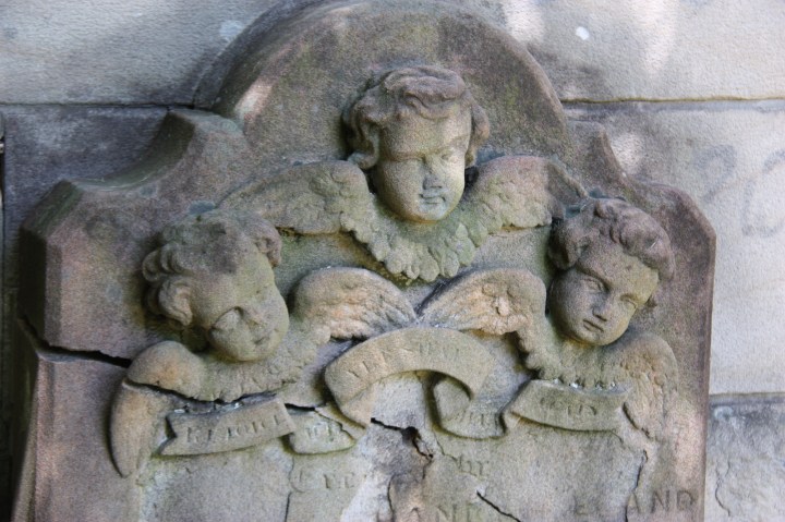 Camperdown Cemetery: A walk among the&nbsp;tombstones