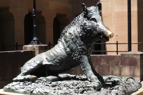 The 1968 bronze copy of Il Porcellino outside Sydney Hospital, Macquarie Street, Sydney, Australia